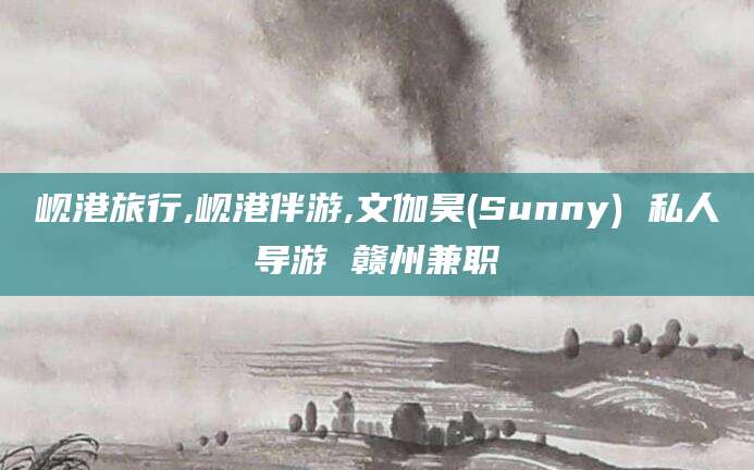 广饶岘港旅行,岘港伴游,文伽昊(Sunny) 私人导游 赣州兼职